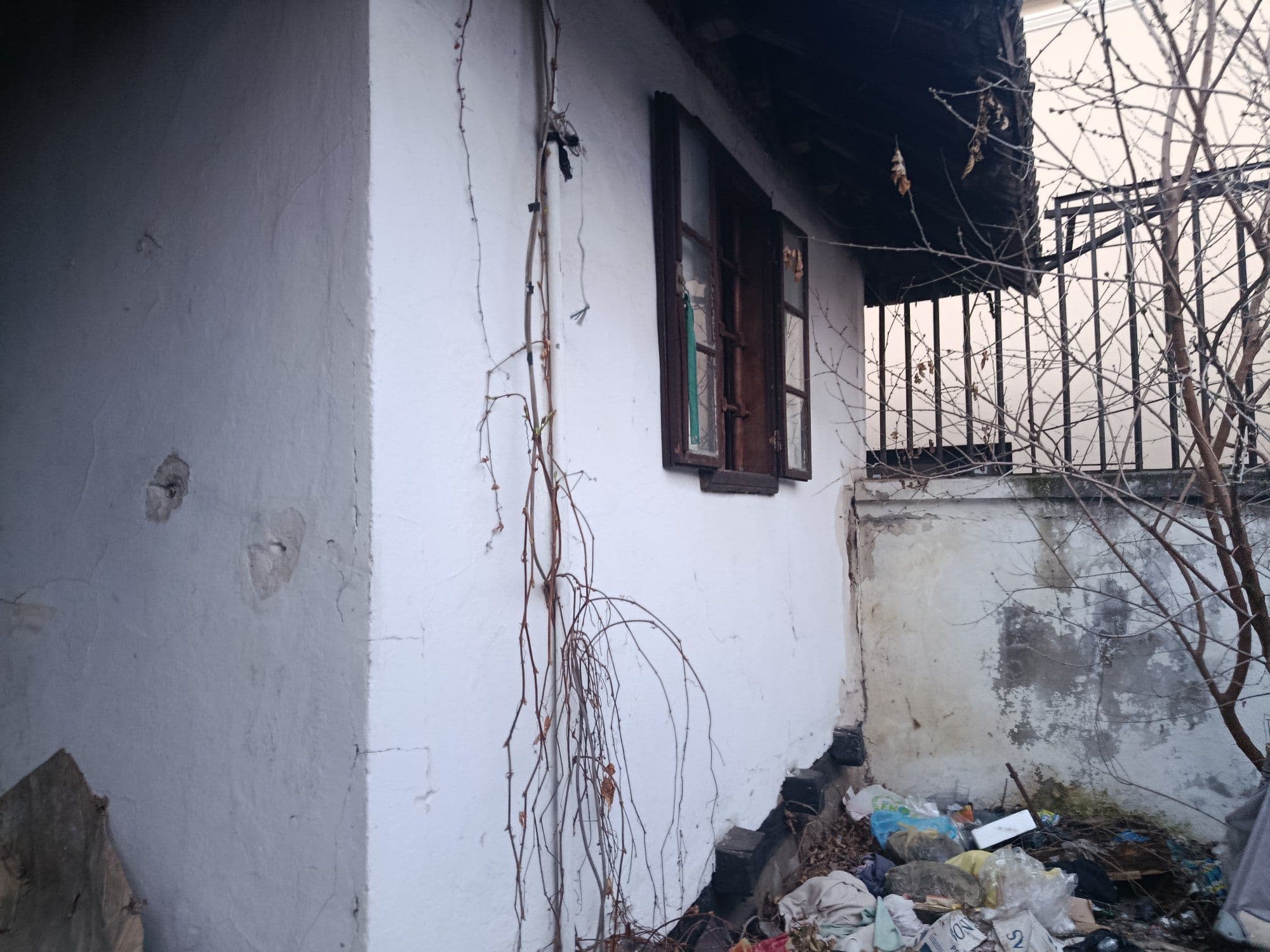 Обнова Српске задужбине — слика 4